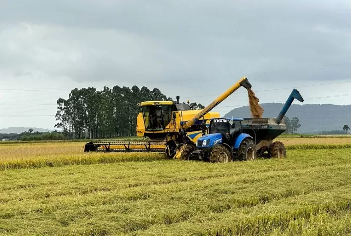 Colheita Inicial de Arroz Avança no RS Apesar da Estiagem, Exigindo Atenção à Irrigação