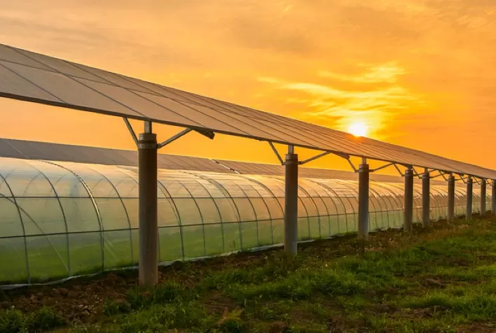 Entenda como o orçamento de energia solar varia no setor agrícola