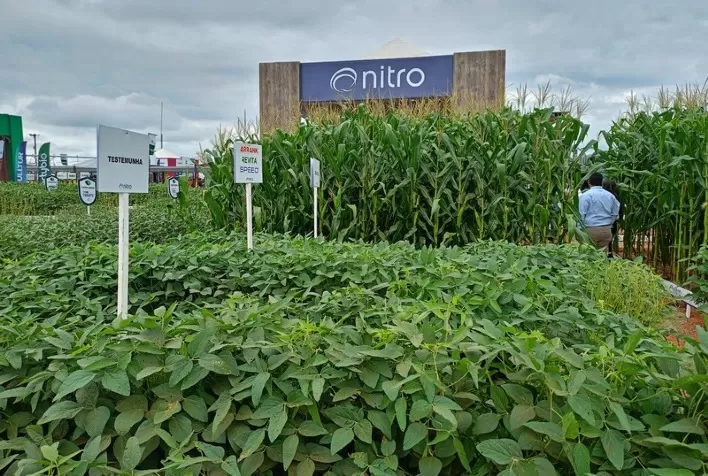 Coopershow 2025: Estratégias de Manejo para Superar os Desafios do Campo Paulista