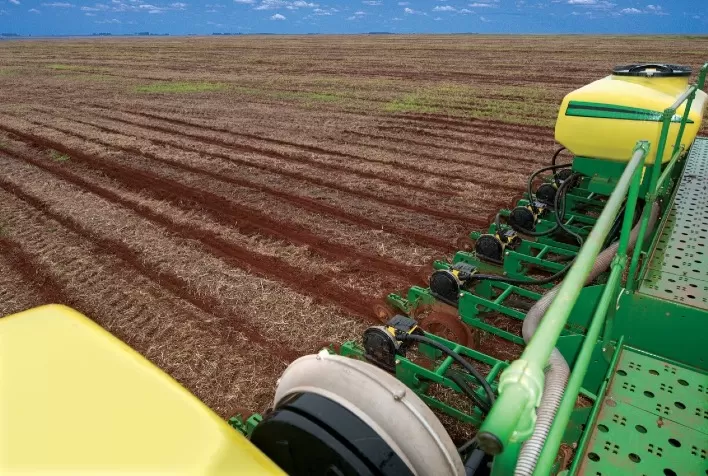 Semeadura de algodão em Mato Grosso enfrenta lentidão devido ao ciclo da soja