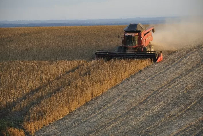 Colheita de soja avança lentamente, com melhorias em Mato Grosso, mas com umidade elevada nos grãos
