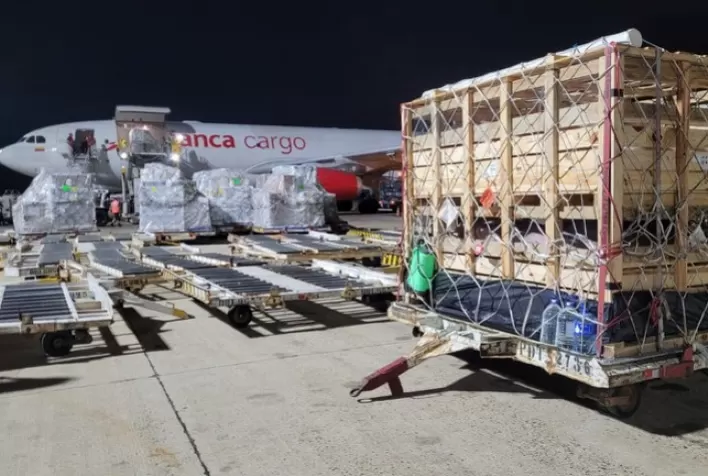 Brasil Realiza Primeira Exportação Aérea de Suínos Reprodutores de Elite para a Colômbia