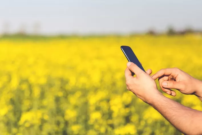 Agtech Calice Chega ao Brasil com Plataforma de IA Avançada para Impulsionar a Inovação no Agro