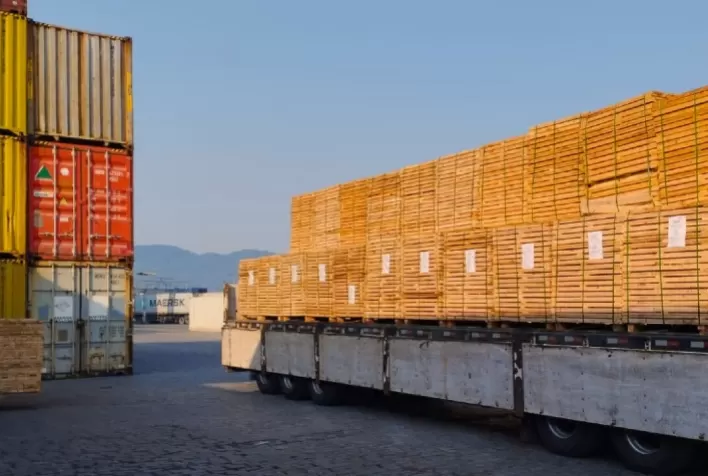 Exportações de Madeira Brasileiras Apresentam Crescimento Modesto em 2024