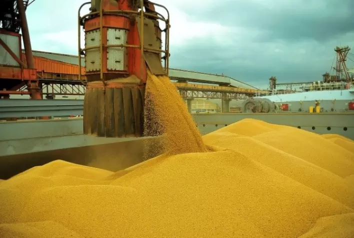 Argentina projeta exportação de 2,662 milhões de toneladas de milho em janeiro