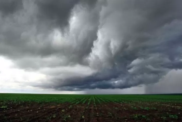 Chuvas Atrasam Semeadura do Algodão em Mato Grosso, Indica Imea