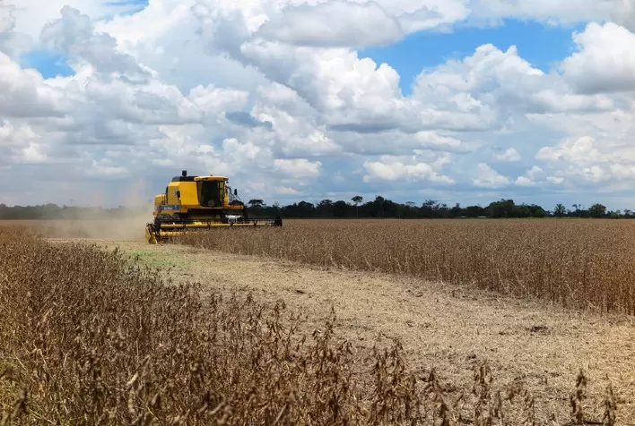 Colheita de soja no Brasil avança para 9% com forte ritmo no Paraná e melhora em Mato Grosso