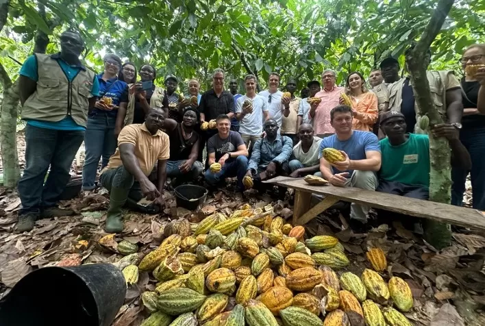 Proposta de Cooperação entre os Maiores Produtores de Cacau Visa Aumentar a Remuneração dos Agricultores