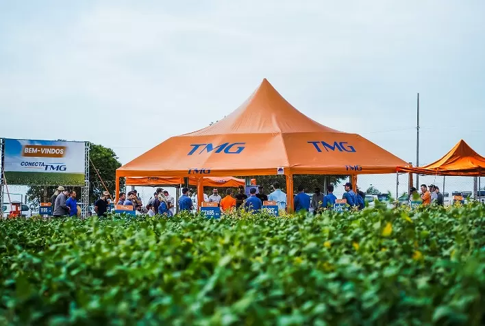 Produtores de Paraná e Goiás Conhecem Cultivares Inovadoras da TMG para Aumentar Rentabilidade e Sustentabilidade