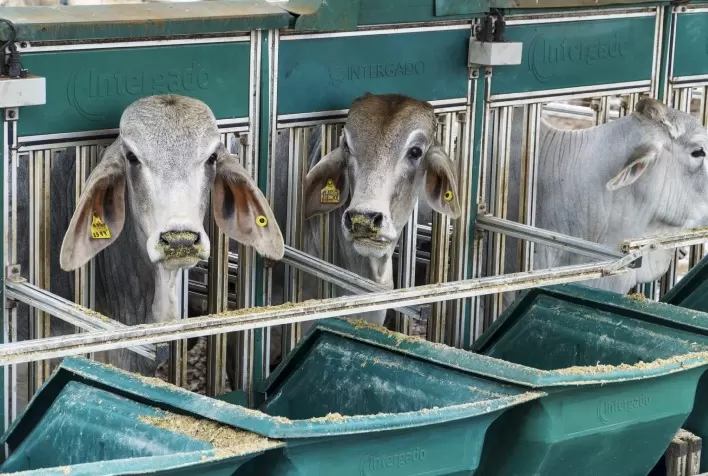 Inscrições Abertas para a 5ª Edição da Prova de Eficiência e Performance Brahman