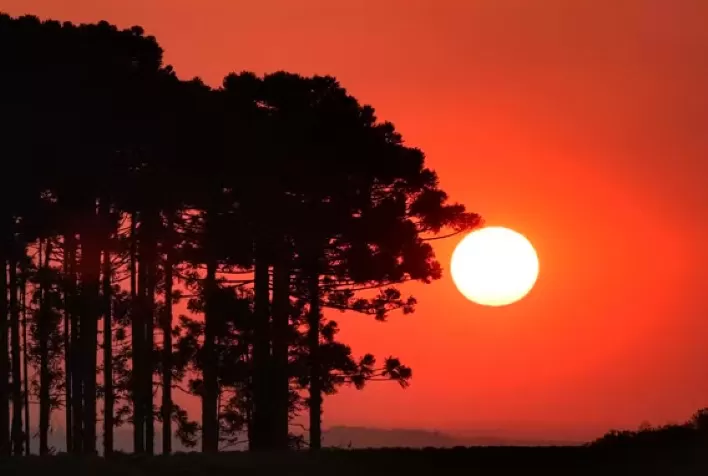 Janeiro de 2025: Mês Mais Quente Já Registrado, Mesmo com Tendência de Resfriamento La Niña