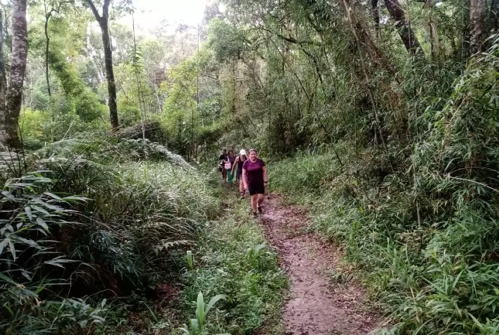 Caminhadas na Natureza impulsionam turismo rural no Paraná e movimentam R$ 1,4 milhão em 2024
