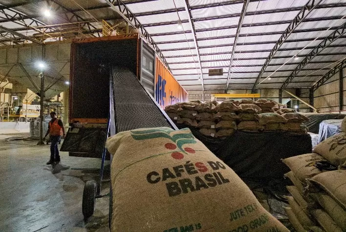 Exportação de café não torrado cresce mais de 70% nos primeiros dias de fevereiro