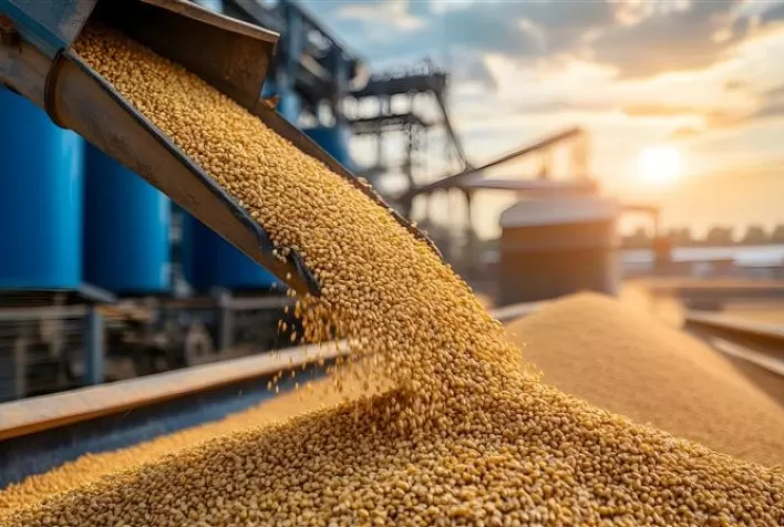 Desafios na Armazenagem de Grãos: Crescimento da Produção Exige Mais Infraestrutura e Qualidade