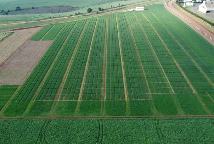 Centro Tecnológico da 3tentos Obtém Credenciamento do Ministério da Agricultura para Testar e Certificar Produtos Agrícolas