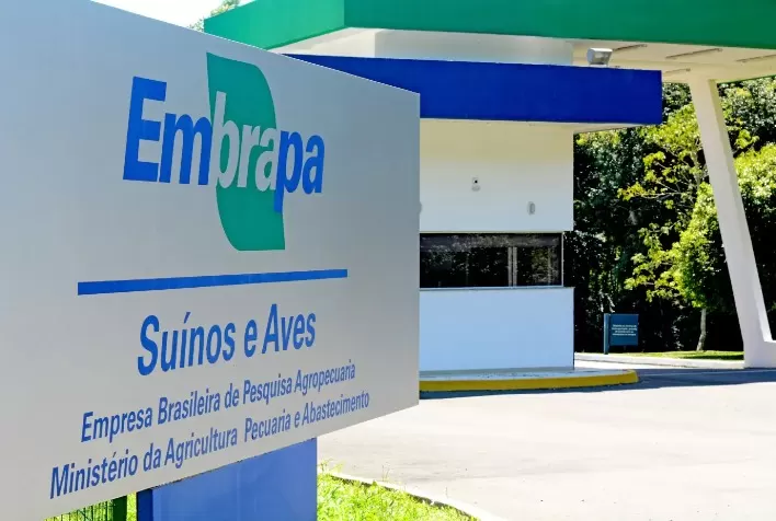 Embrapa Suínos e Aves Comemora 50 Anos com Evento em Homenagem ao Protagonismo Feminino no Agro