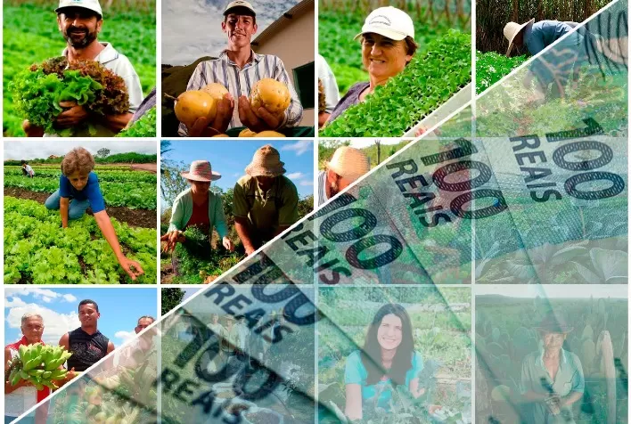 Crédito Rural em São Paulo Registra Queda de 21,7% em Relação à Safra Anterior