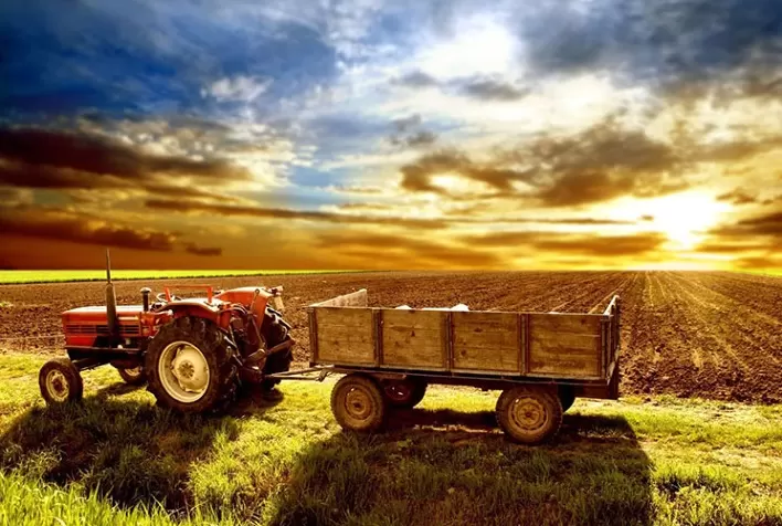 Gastos com política agrícola caem 25% em 2024 e desafiam Plano Safra
