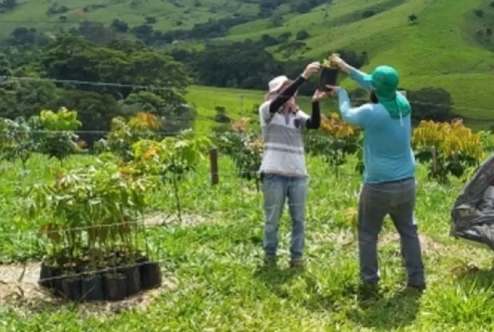 SeloVerde MG certifica conformidade do agro mineiro para exportação à União Europeia