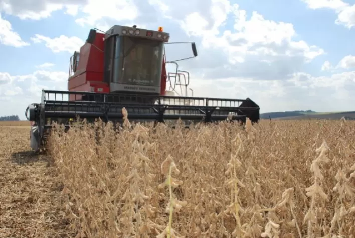 Colheita da Soja Avança para 23%, com Atenção ao Calor no Rio Grande do Sul
