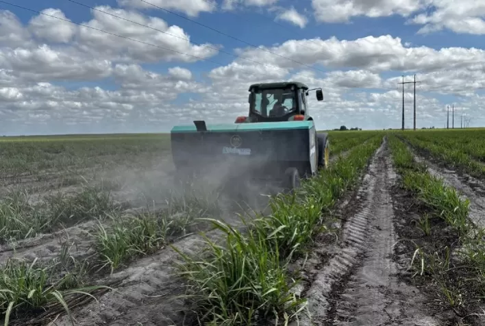 Agricultura Regenerativa: O Potencial do Remineralizador para Ampliar a Produção de Diversas Culturas