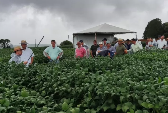 Capal Realiza o Tec Campo Verão em 7 Cidades do PR e SP para Cooperados