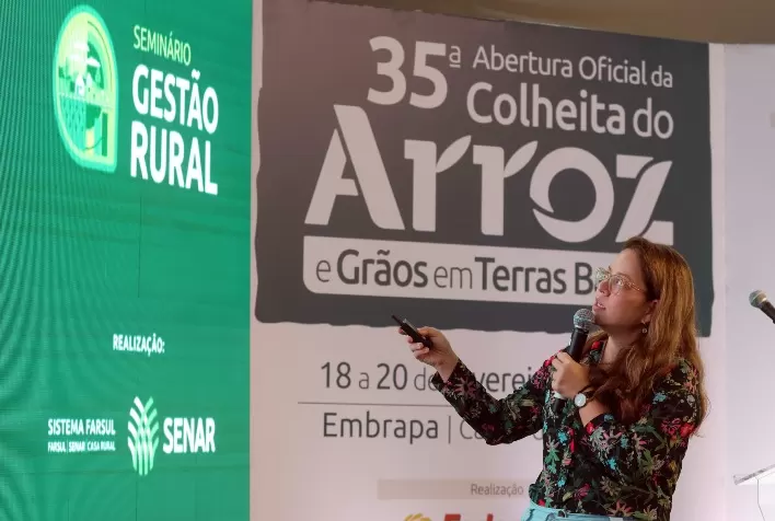 Exportações de Arroz Brasileiro Podem Crescer nos Próximos Dois a Três Anos