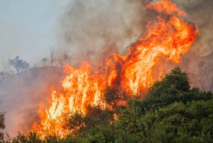 FAESP Antecipará Discussões sobre Prevenção a Incêndios no Campo em Reunião de Março