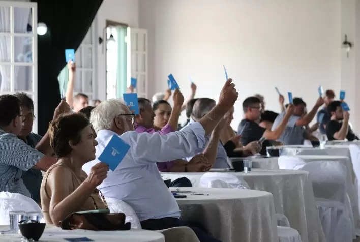 Castrolanda alcança resultado líquido recorde de R$ 273 milhões em 2024