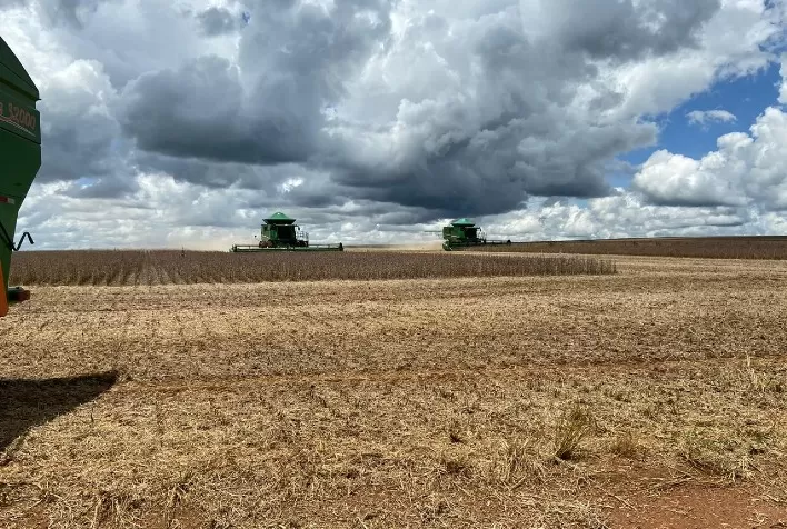 Colheita de soja avança no Brasil e atinge 39% da área plantada