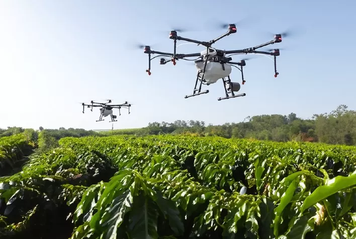 Protetor solar para plantas reduz queimaduras e melhora adaptação ao clima