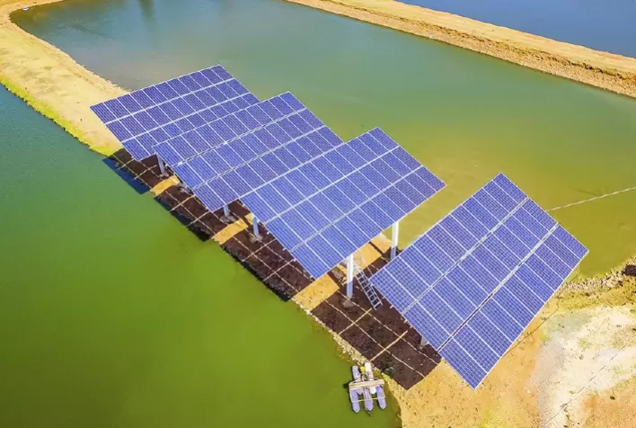 Energia solar impulsiona a piscicultura com economia e sustentabilidade
