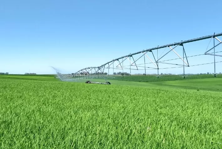 Irrigação assegura estabilidade na produção de arroz no Mercosul