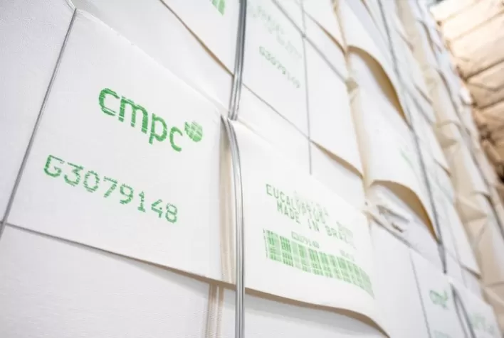 Expansão Global da Capacidade de Celulose Perde Força com Redução do Déficit na China