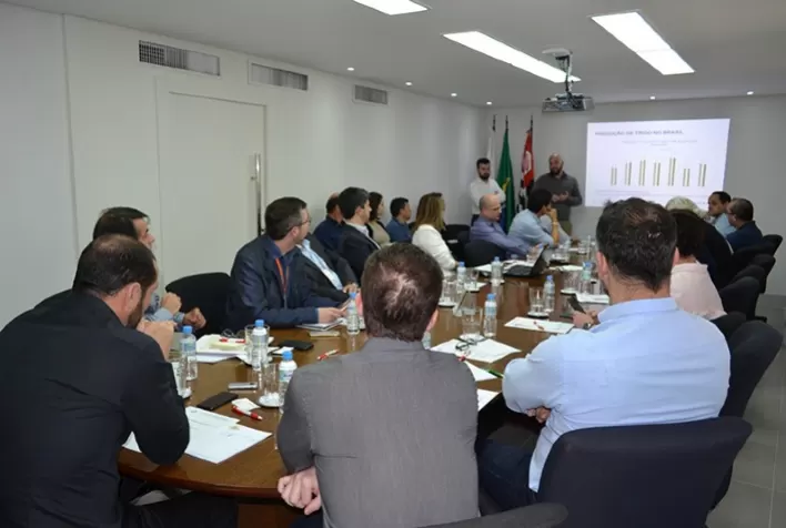 Safra paulista de trigo: perspectivas para 2025/2026 serão debatidas em evento setorial