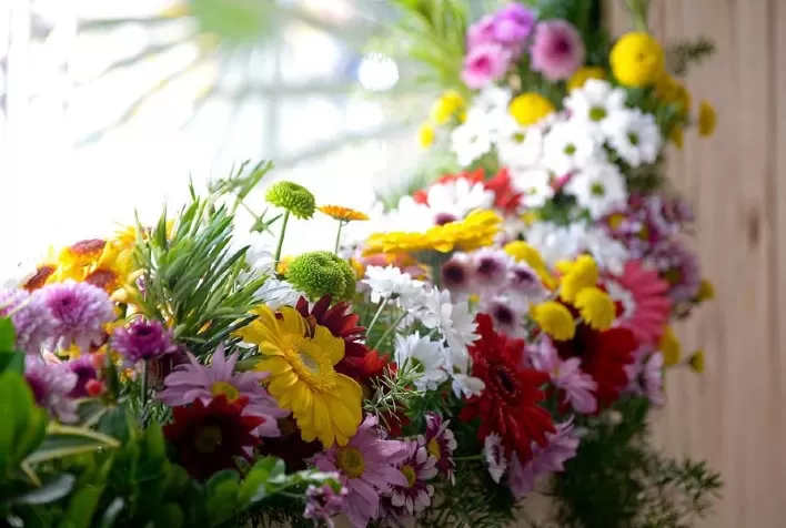 Setor de floricultura projeta crescimento de 8% nas vendas para o Dia Internacional da Mulher
