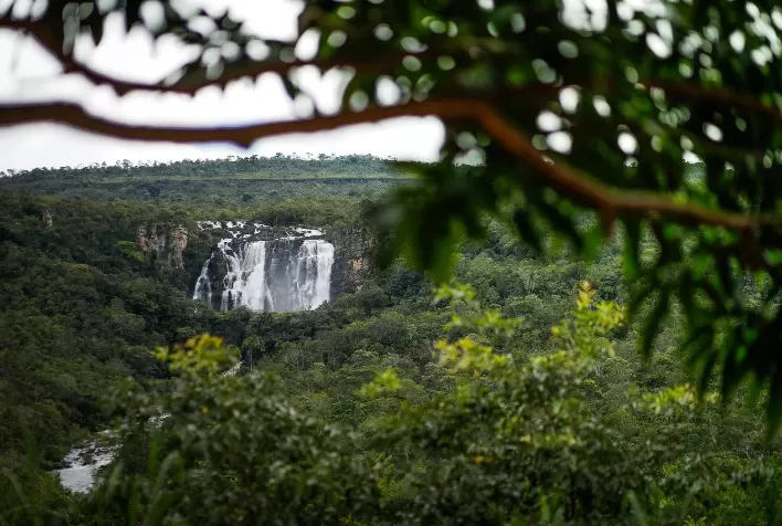 Turismo Rural em Lima Duarte se Expande com Capacitação de Novos Agentes