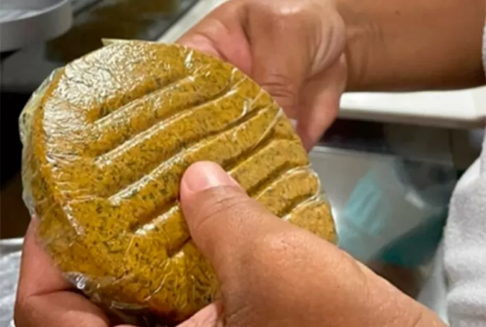Inovação Sustentável: Pesquisadores Criam Hambúrguer à Base de Coco Babaçu