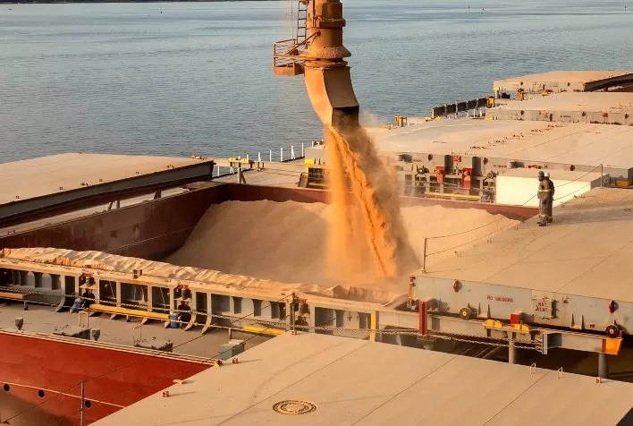 Brasil Registra Exportação de 1,6 Milhão de Toneladas de Farelo de Soja em Janeiro