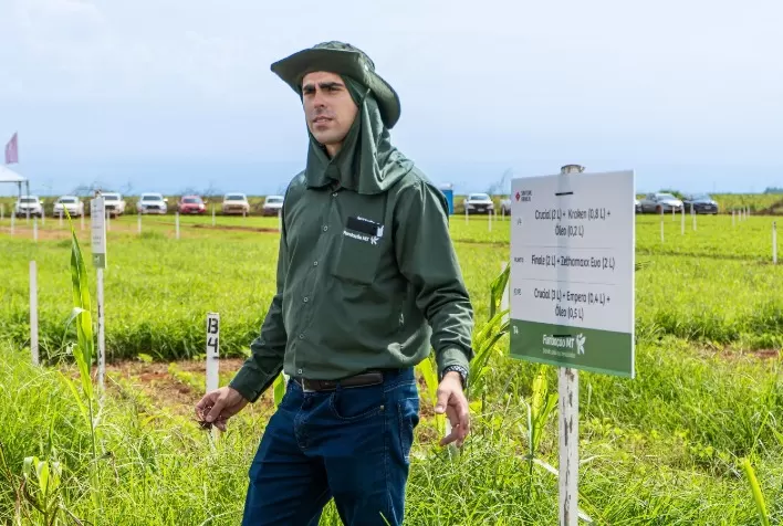 Fundação Mato Grosso promove Escola de Herbicidas em Sorriso com 100 opções de tratamentos para manejo de plantas daninhas