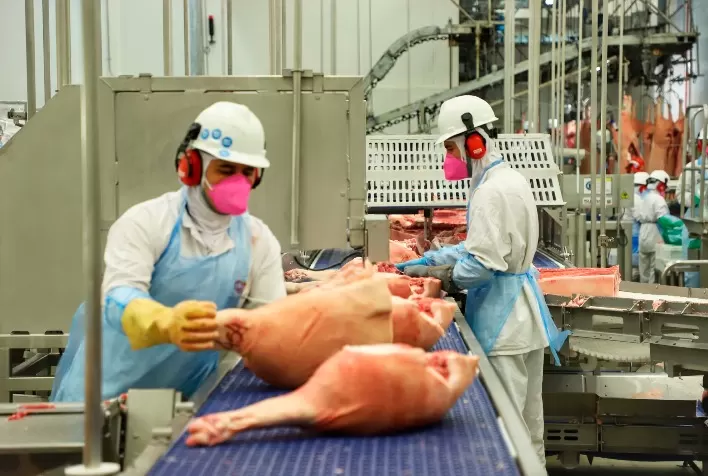 Mercado de Carne Suína: Queda nos Preços Pressiona Suinocultores