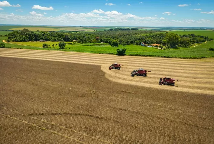 Emissões de Carbono na Agricultura Brasileira Estimadas em 11,54 Dólares por Tonelada