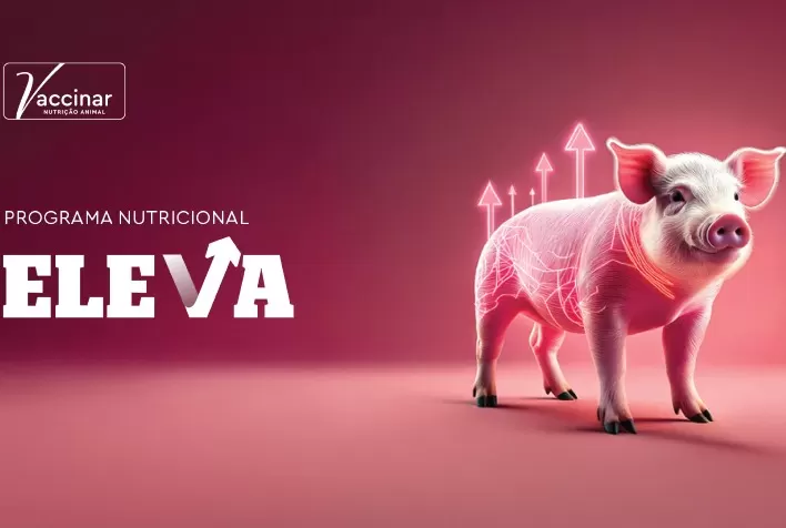 Vaccinar Lança Programa Nutricional Eleva: Inovação e Sustentabilidade para Impulsionar a Suinocultura