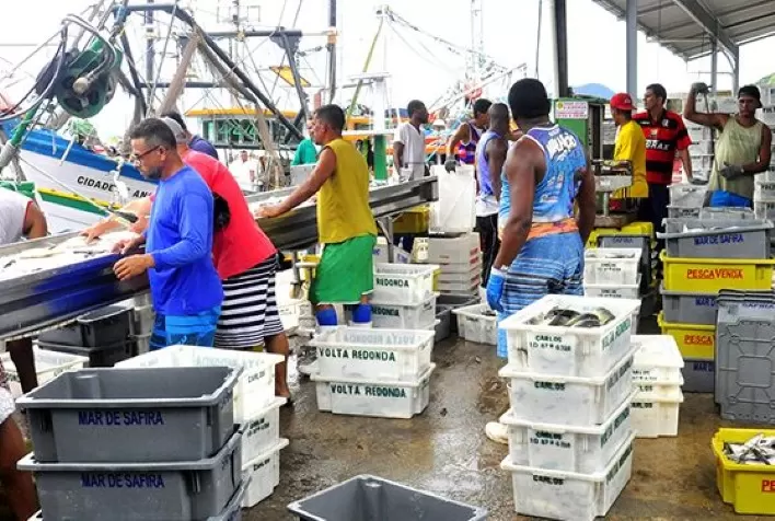 Governo Federal e os Impactos da Zeração da Alíquota de Importação da Sardinha em Conserva