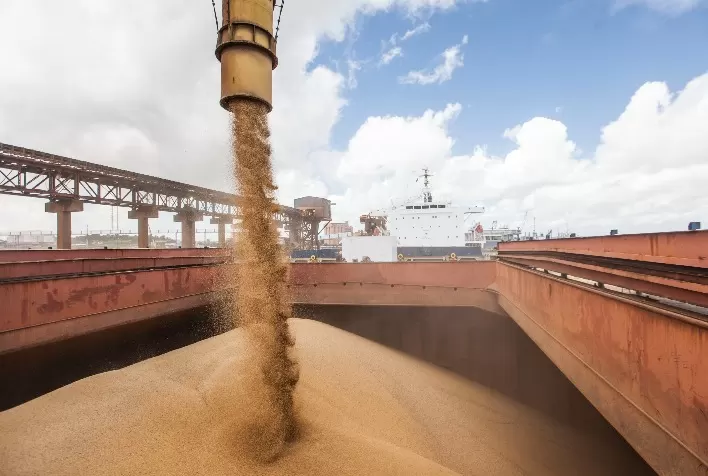 TPSL Recebe Habilitação para Exportar Milho à China