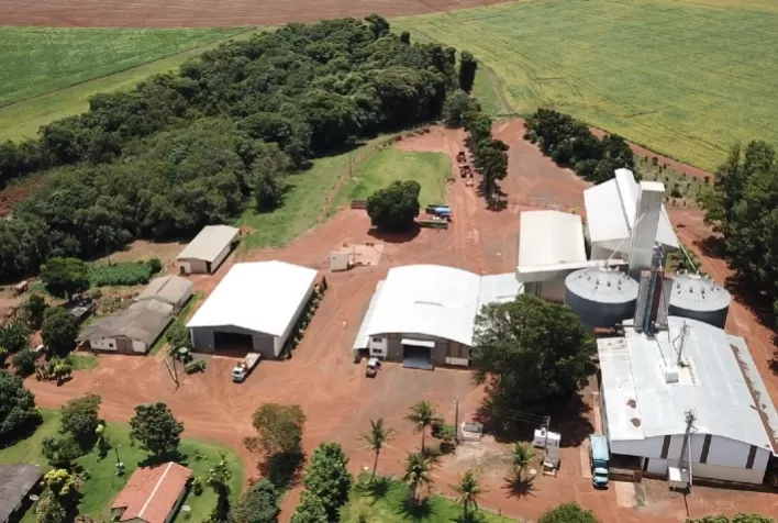 Manejo adequado do solo reduz impactos das queimadas e preserva produtividade