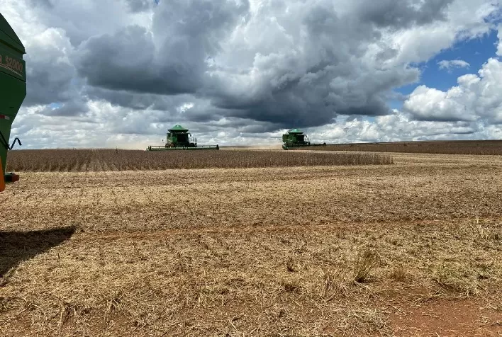Colheita de Soja em Mato Grosso Alcança 97,33%, e Plantio de Milho Safrinha Atinge 99,48% da Área Estimada