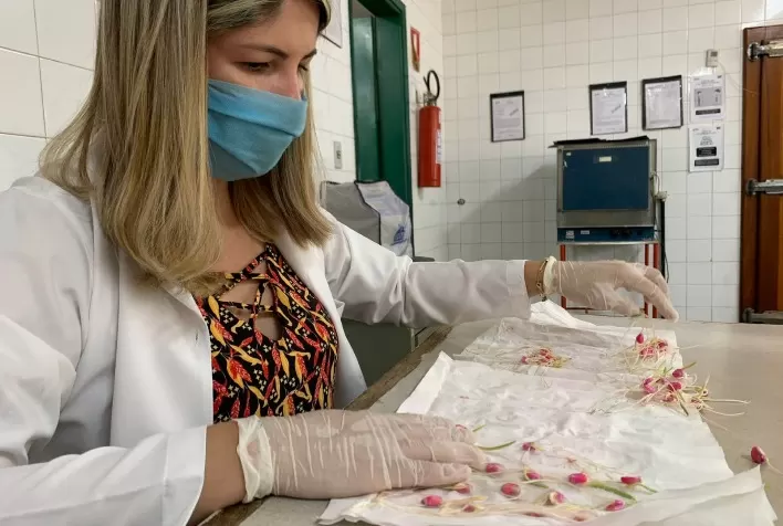 Labsem da Agrodefesa mantém excelência e alcança nota máxima em avaliação nacional