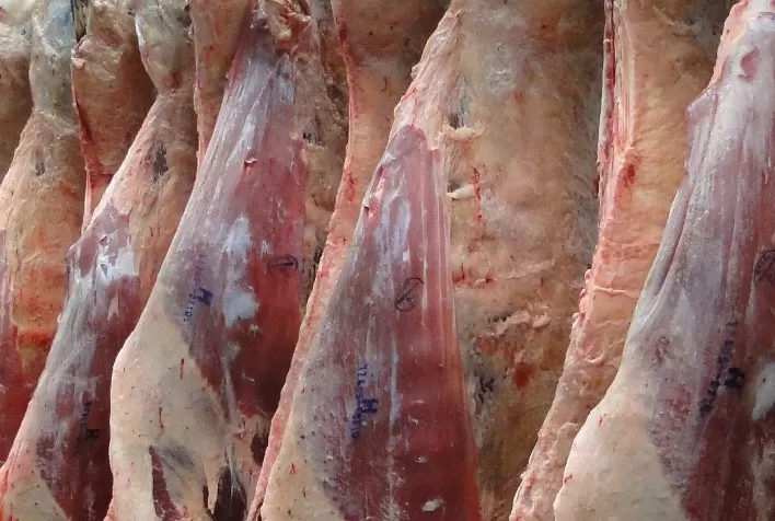 ABHB Realiza Concurso de Carcaças Carne Hereford em Edição Especial para o Mundial Braford