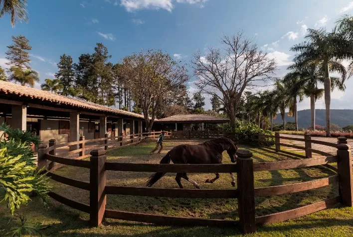 Crescimento dos condomínios equestres no mercado imobiliário